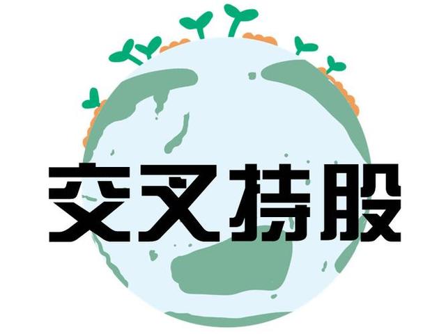 交叉持股安排设计(交叉持股怎么计算持股比例)滁州市